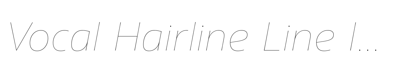 Vocal Hairline Line Italic